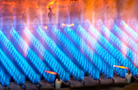 Newbottle gas fired boilers